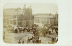 604526 Afbeelding van de paardenmarkt op het Vredenburg te Utrecht, met links de Korenbeurs en rechts de Fruithal.